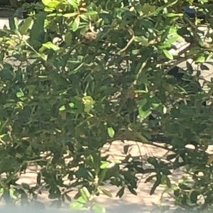 Meet your Posher, Lena